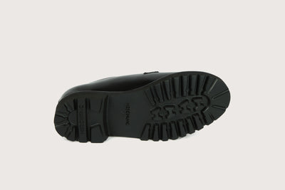 ARONIA FE Windsor Noir H-Light