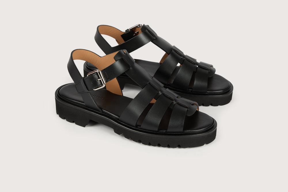 ATHÉNA FE Black Box H-Light