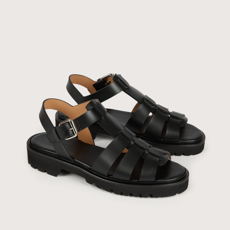 ATHÉNA FE Box Noir H-Light