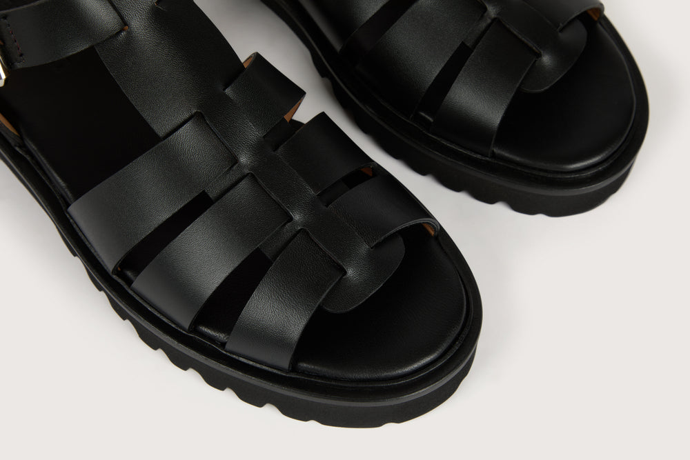 ATHÉNA FE Black Box H-Light