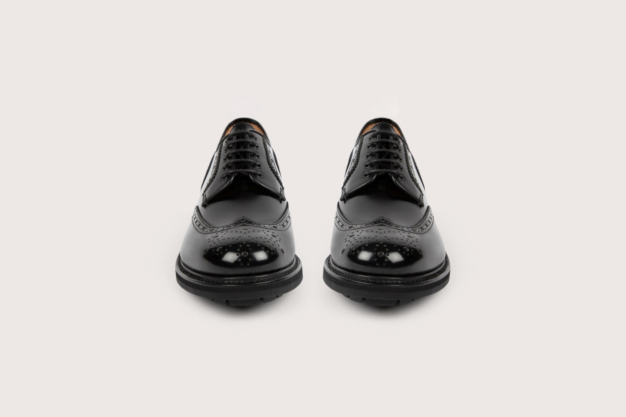 VANDA Black Windsor Commando